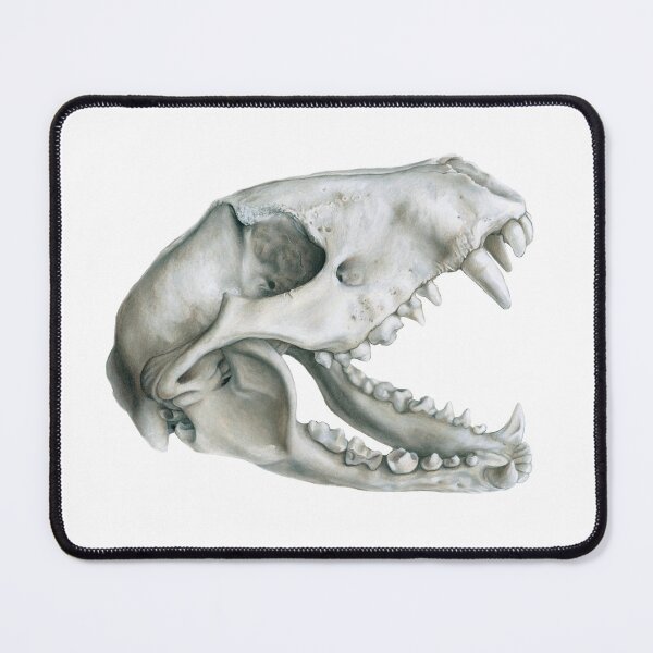 Item preview, Raccoon Skull designed and sold by Caitlin Rausch.