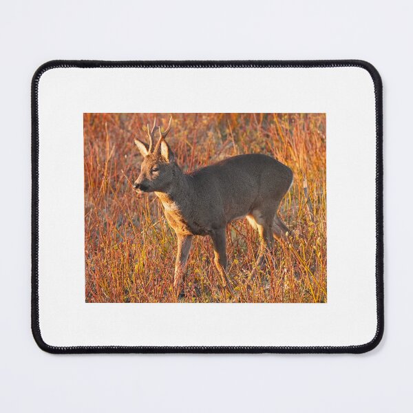 Item preview, Deer in golden sunlight designed and sold by bladeuktm.