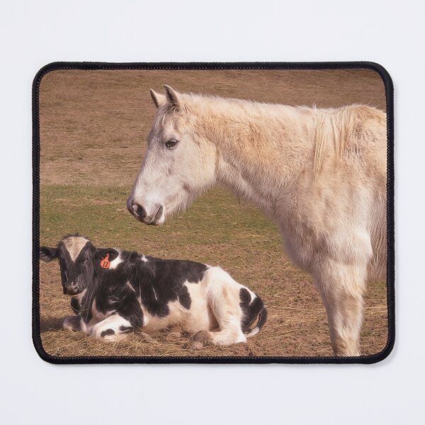 Item preview, Pasture Partnership designed and sold by Jim Love.