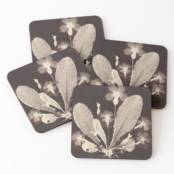 Item preview, Botanical Photogram, 1860s designed and sold by kathrynhw.