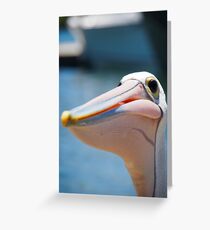 Pelican Greeting Card