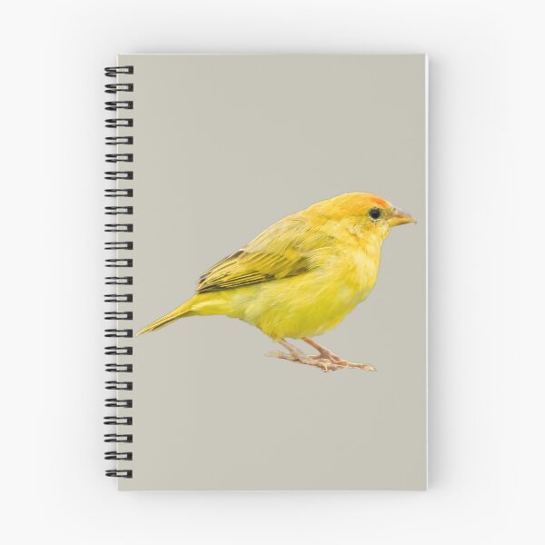 Item preview, Yellow Canary designed and sold by RainbowSpinkle.
