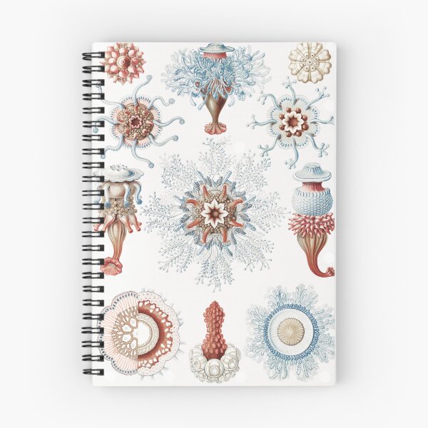 Item preview, Naturalist Sea Creatures White  designed and sold by Rachelblee.