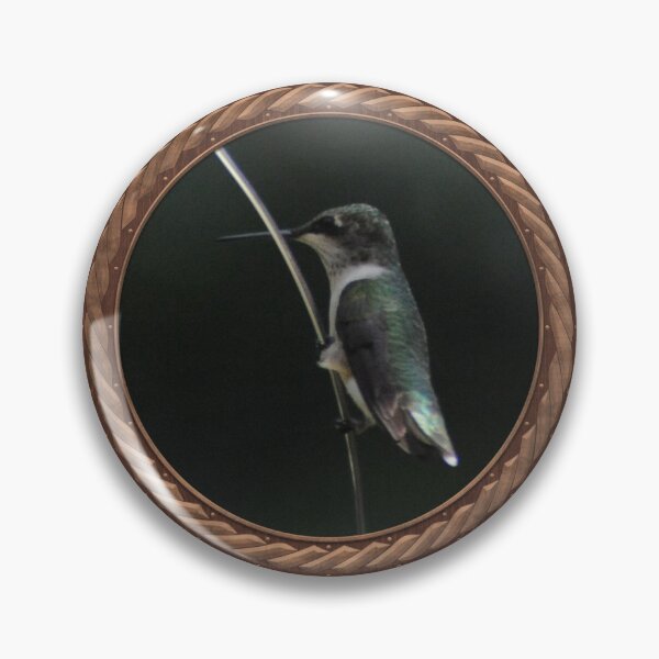Item preview, Ruby-Throated Hummingbird Photography in Celtic Circle Frame 35 designed and sold by Swabcraft.