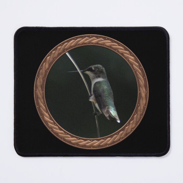 Item preview, Ruby-Throated Hummingbird Photography in Celtic Circle Frame 35 designed and sold by Swabcraft.