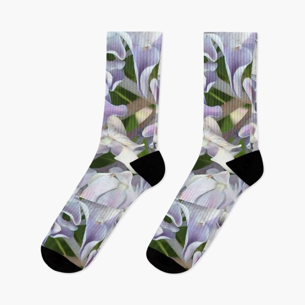 Item preview, Lavender Hydrangea 1  designed and sold by KimSyOk.