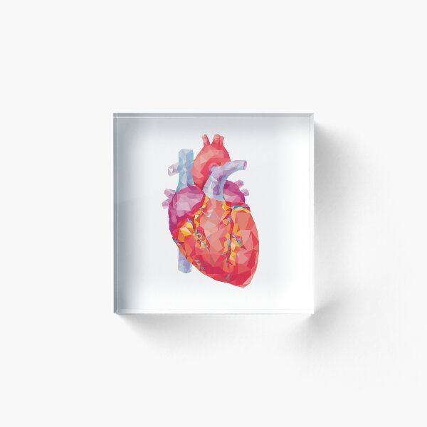 polygonal human heart illustration Acrylic Block