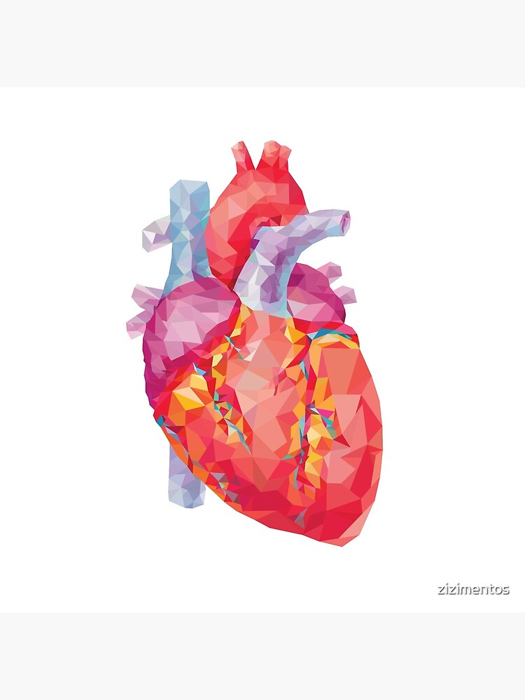 polygonal human heart illustration by zizimentos