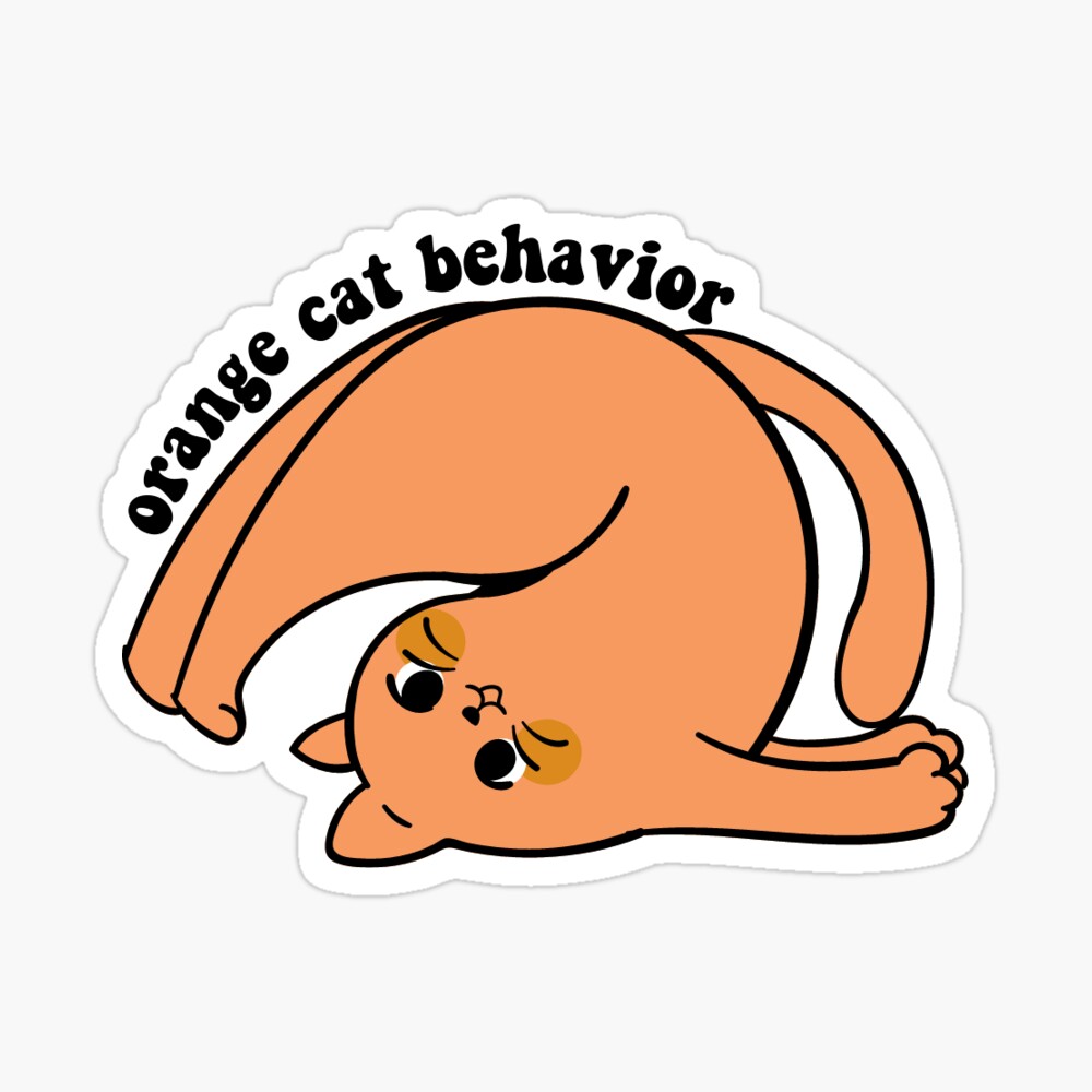 orange cat behavior