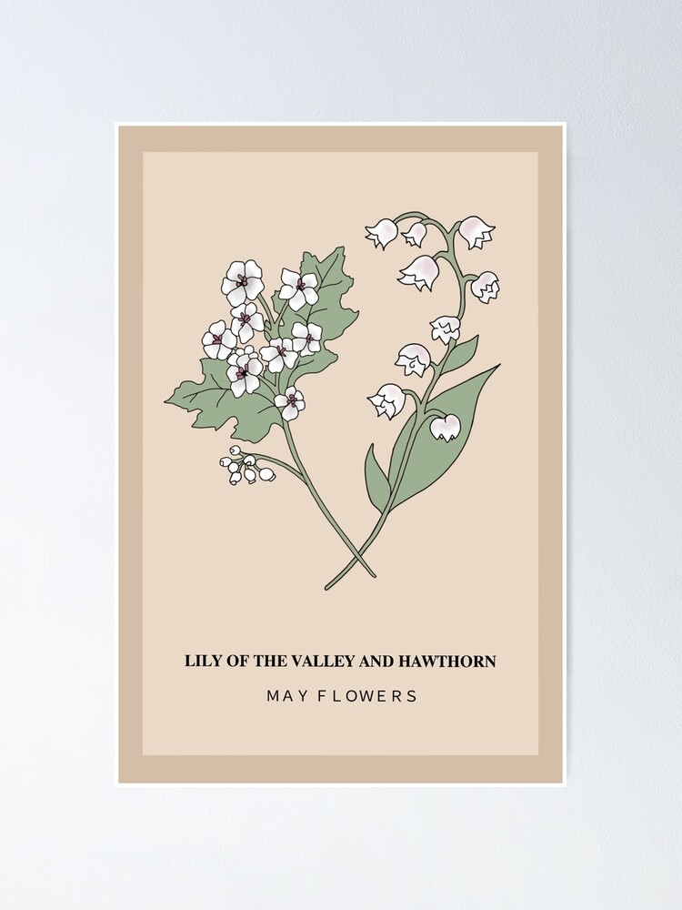 May Flower Lore: Lily of the Valley and Hawthorn - Farmers' Almanac - Plan  Your Day. Grow Your Life.