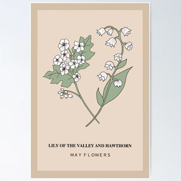 May Flower Lore: Lily of the Valley and Hawthorn - Farmers
