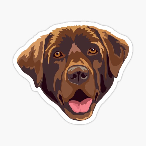 Chocolate Lab in a Yeti Cooler  Sticker for Sale by Cactus0