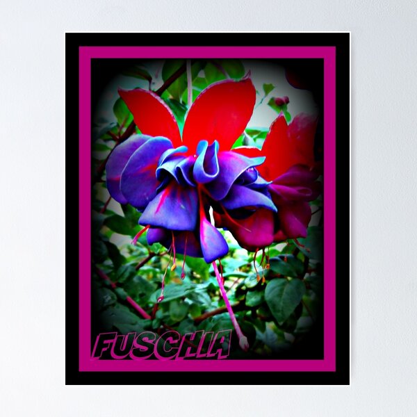 Item preview, #FUSCHIA designed and sold by DMEIERS.
