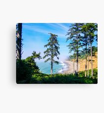 Agate Beach, Patricks Point State Park, Humboldt County, California Canvas Print