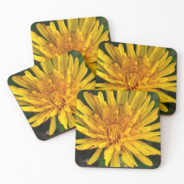 Item preview, Dandelion art designed and sold by annasofia.