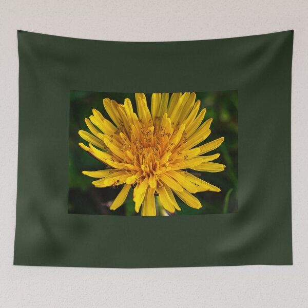 Item preview, Dandelion art designed and sold by annasofia.