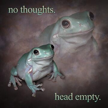 Artwork thumbnail, no thoughts head empty frog retro word art meme by snazzyseagull