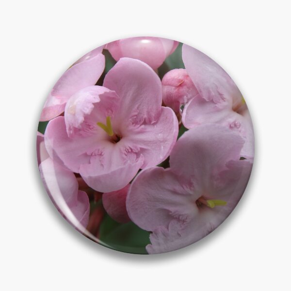 Artikelvorschau, Hübsche rosa Blumen entworfen und verkauft von Honey Myrtle Studio.