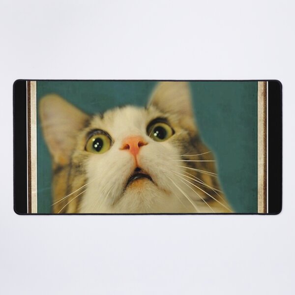 Item preview, Funny Cat Are You Pooping Poster designed and sold by heatherdickes.