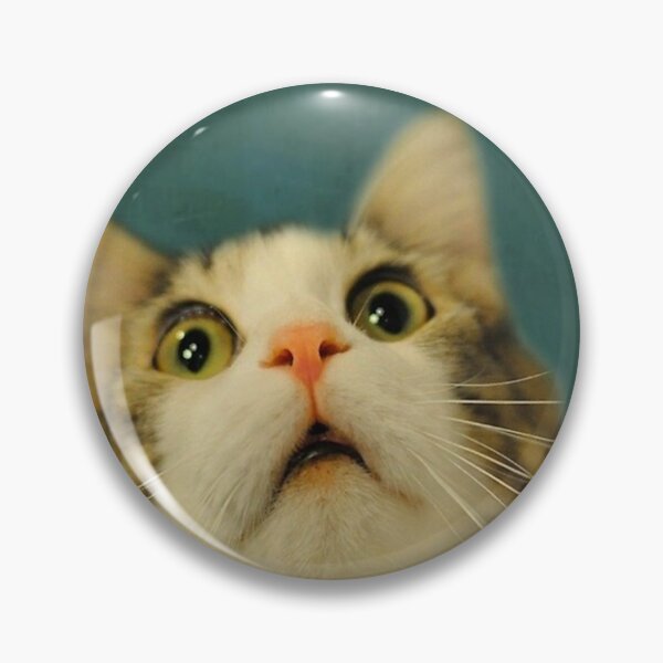 Item preview, Funny Cat Are You Pooping Poster designed and sold by heatherdickes.