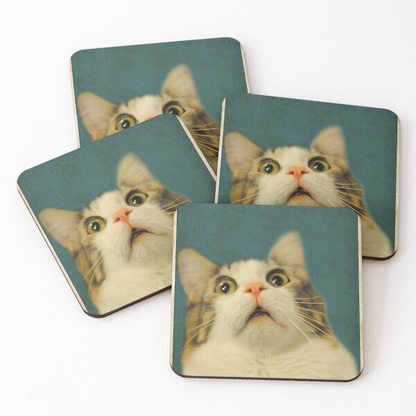 Item preview, Funny Cat Are You Pooping Poster designed and sold by heatherdickes.