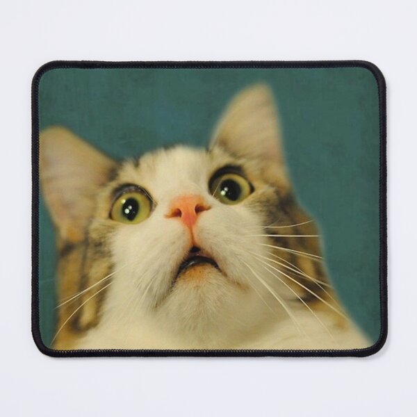 Item preview, Funny Cat Are You Pooping Poster designed and sold by heatherdickes.