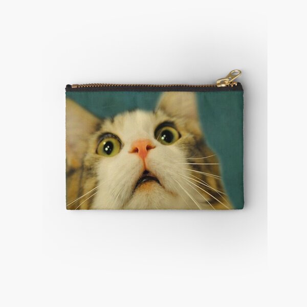 Item preview, Funny Cat Are You Pooping Poster designed and sold by heatherdickes.