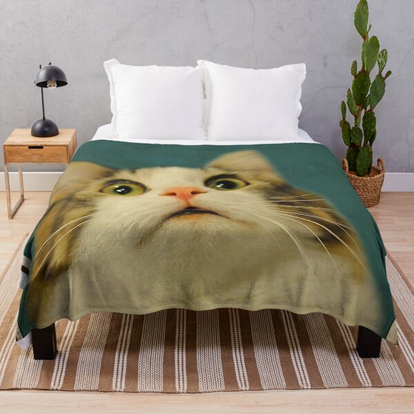 Item preview, Funny Cat Are You Pooping Poster designed and sold by heatherdickes.