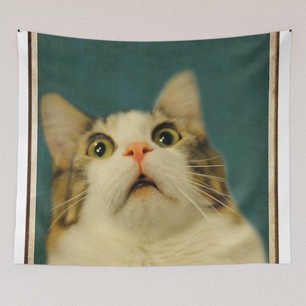 Item preview, Funny Cat Are You Pooping Poster designed and sold by heatherdickes.