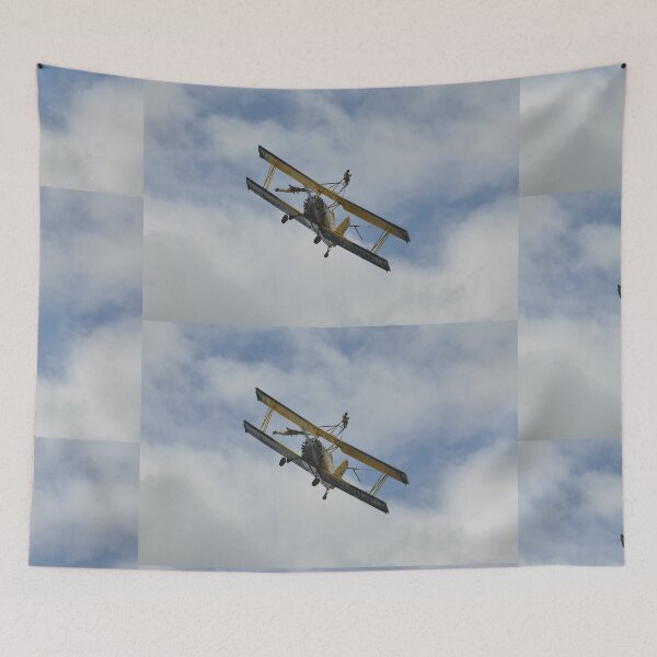 Artikelvorschau, 20230326 Cessnock Airshow, NSW - schwedischer Doppeldecker SE-KXR entworfen und verkauft von muz2142.