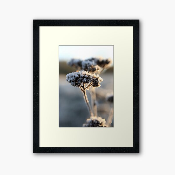 Ending December Framed Art Print