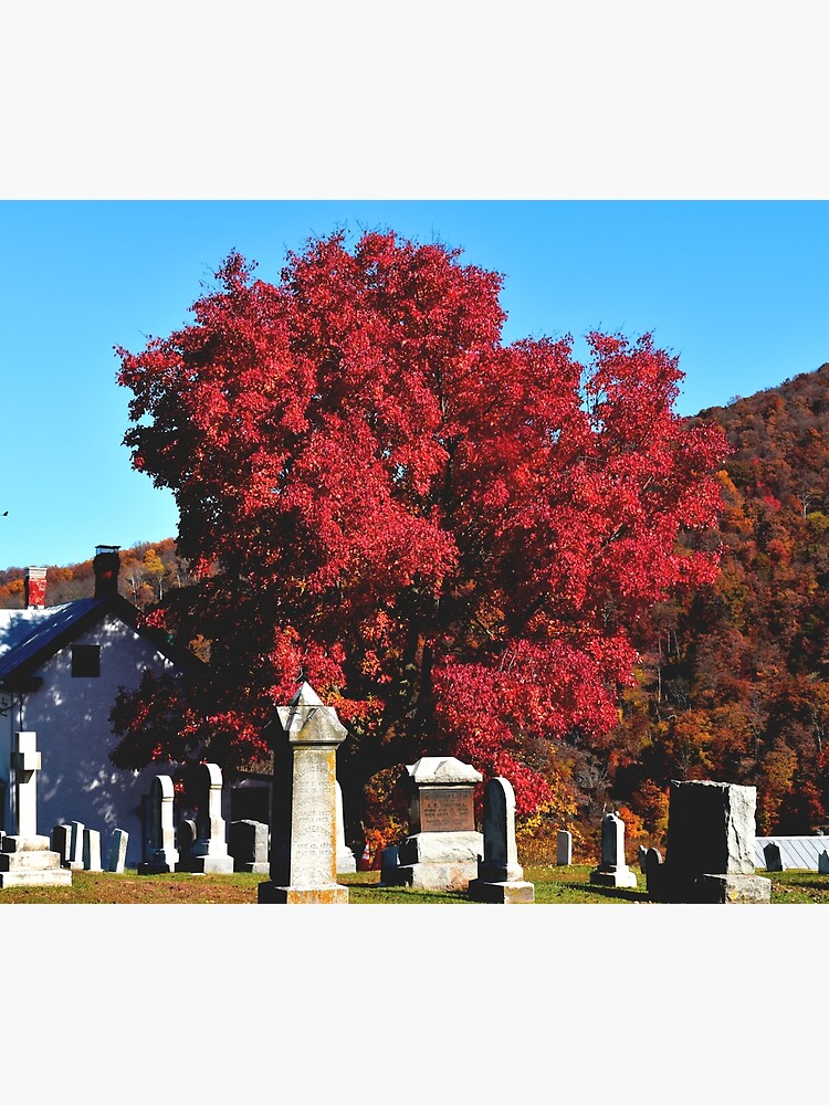 Disover Harpers Ferry Cemetary in The Fall Shower Curtain