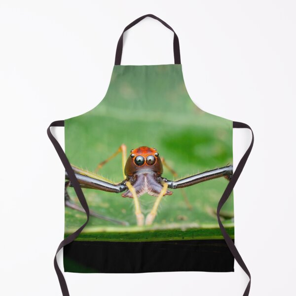 Item preview, A Wide-jawed Viciria Spider (Viciria pavesii) looking straight at you! designed and sold by AvonPerception.