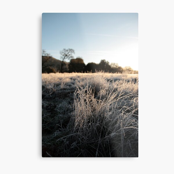 Before it fades Metal Print