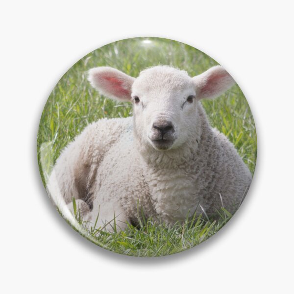 Artikelvorschau, Frühling kleines Lamm entworfen und verkauft von HaleyRedshaw.
