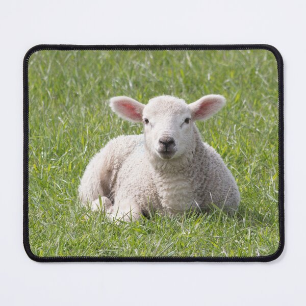 Item preview, Spring little lamb designed and sold by HaleyRedshaw.