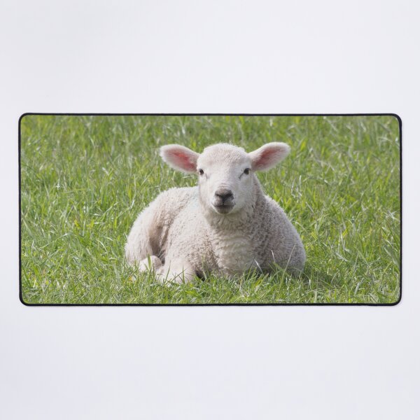 Item preview, Spring little lamb designed and sold by HaleyRedshaw.