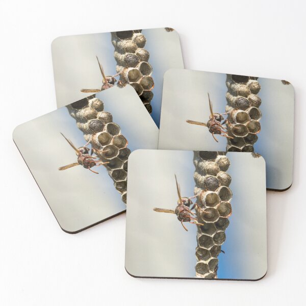 Item preview, Paper Wasp designed and sold by Jacquiamber.