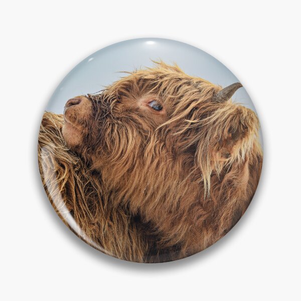 Item preview, Scottish highland cattle cub designed and sold by DiffractiveArt.