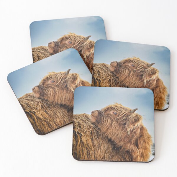Item preview, Scottish highland cattle cub designed and sold by DiffractiveArt.