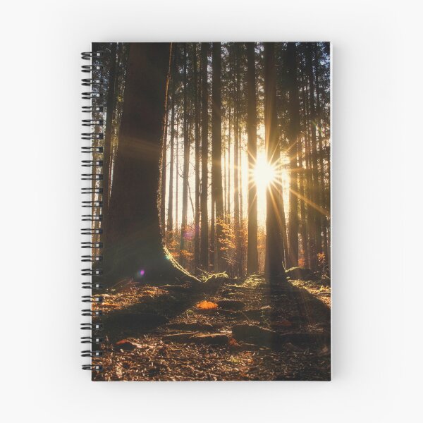 Item preview, Sunrise in the forest designed and sold by DiffractiveArt.