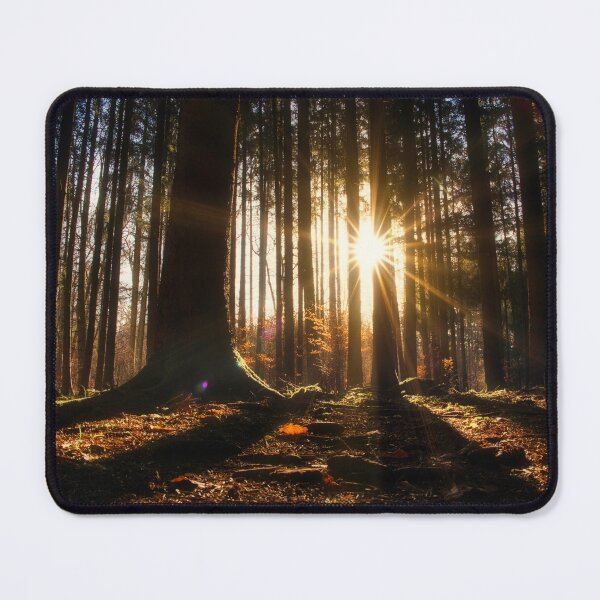 Item preview, Sunrise in the forest designed and sold by DiffractiveArt.