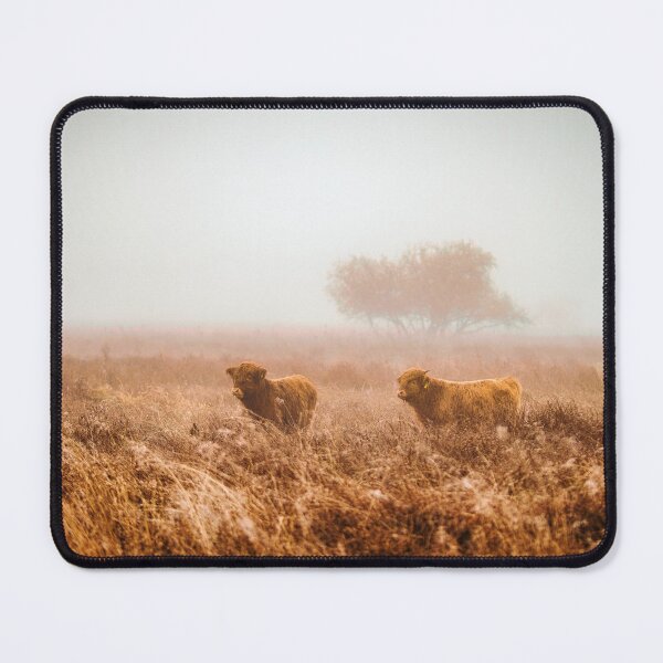 Item preview, two Scottish Highland cubs on misty pasture designed and sold by DiffractiveArt.