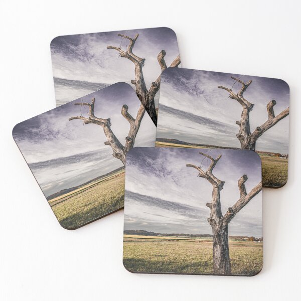 Item preview, gnarled tree trunk designed and sold by DiffractiveArt.