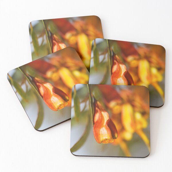 Item preview, Golden Eucalyptus In Seed Pods  designed and sold by Joy Watson - Natural Light Photography .