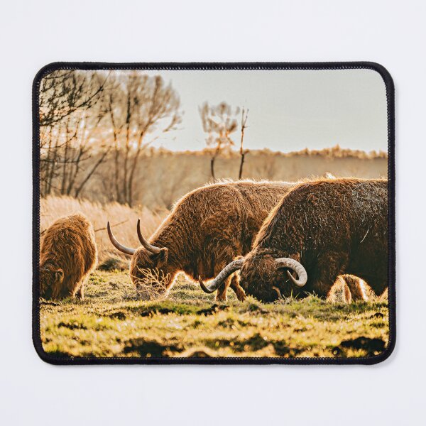 Item preview, Scottish Highland family designed and sold by DiffractiveArt.