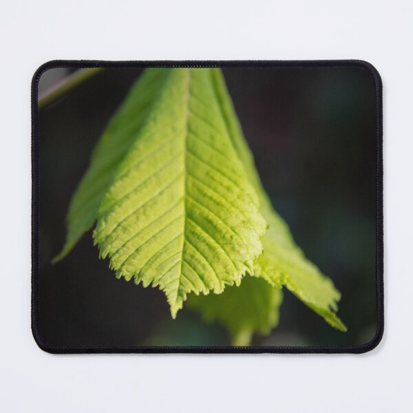 Item preview, Leaf designed and sold by JEZ22.