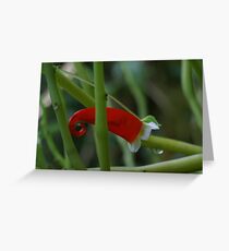 fishing with Santa' heat Greeting Card