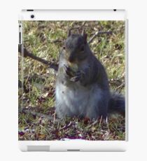 Windy Day - The Blue & The Green 003 iPad Case/Skin