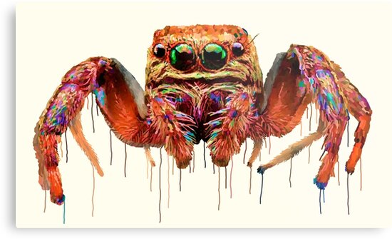 See the source image